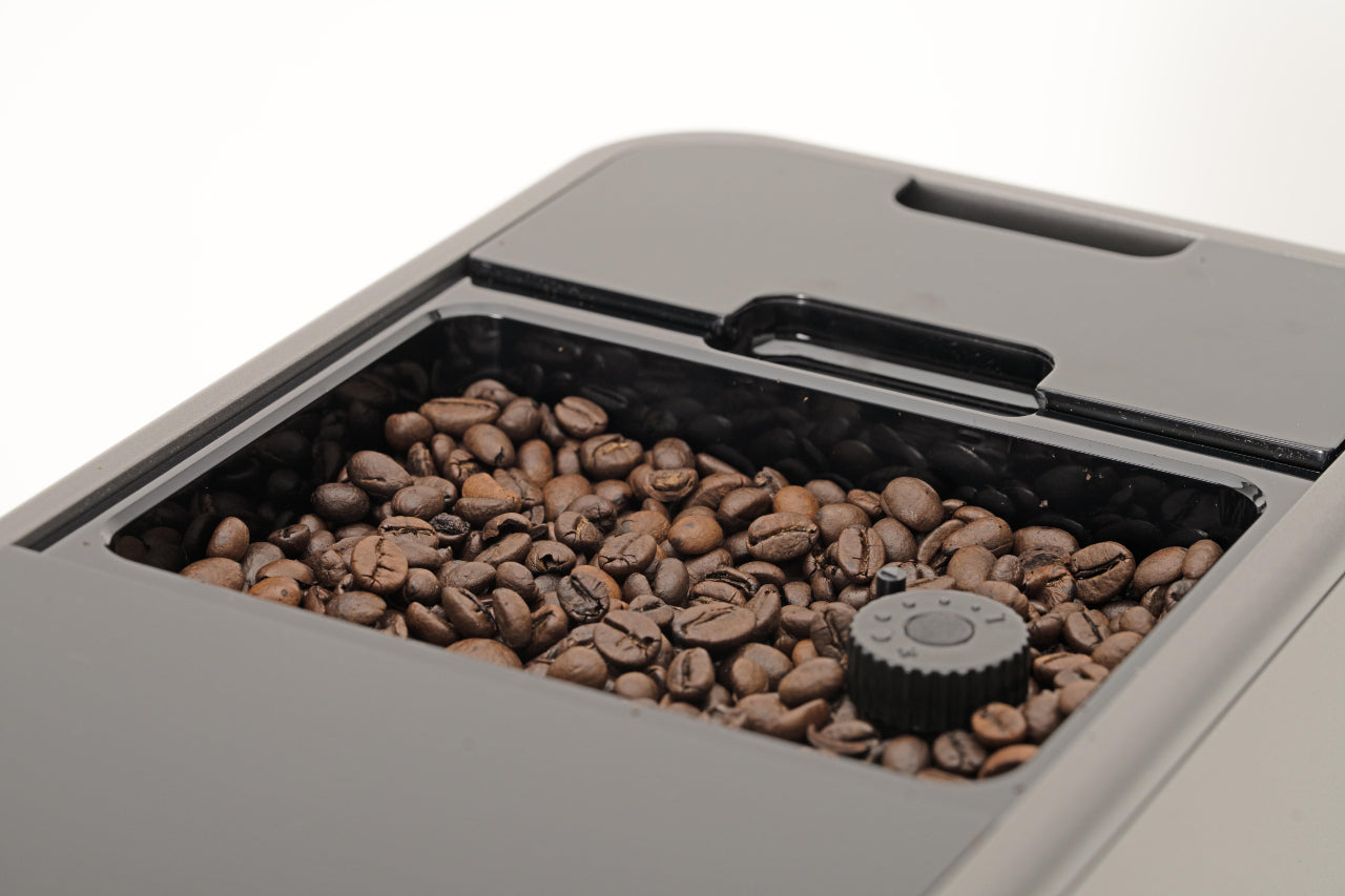 Galileo Milk + caffè Delicato 100% Arabica